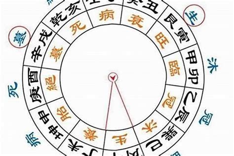 八字長生意思|如何理解八字大運的十二長生？衰、病、死、墓、絕等。